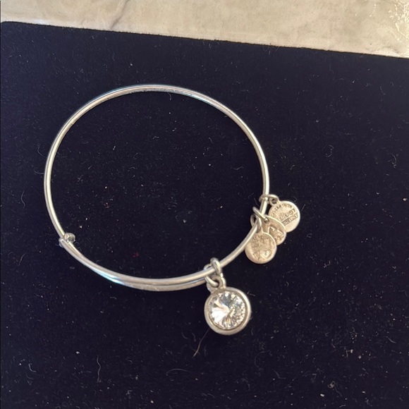 Alex and Ani Silver Charm Bracelet with Butterfly and Medallion - Picture 1 of 2